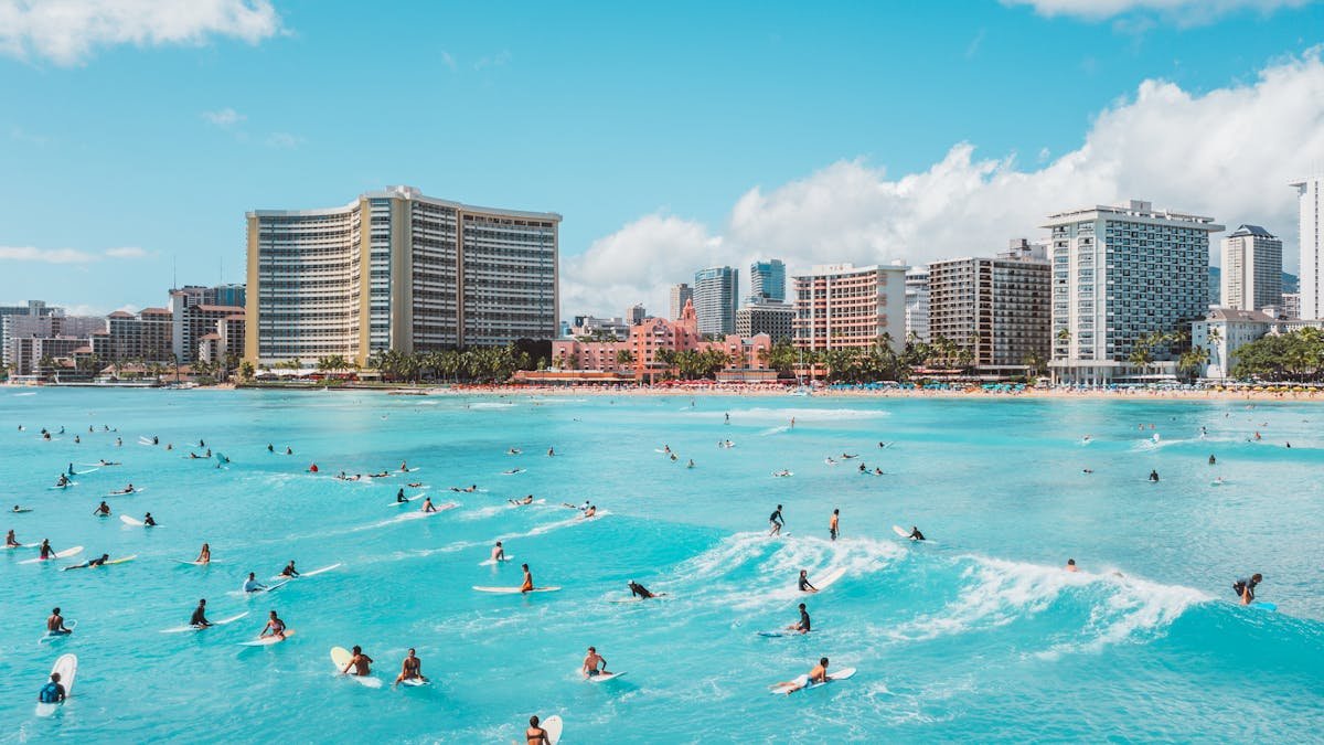 People on Beach Water Surfing
