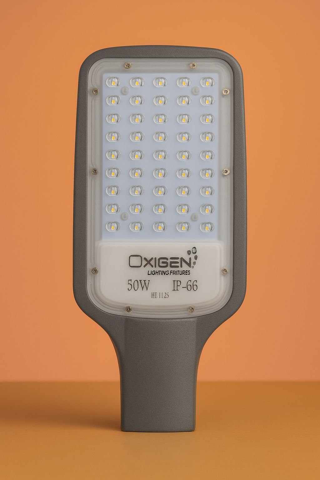 Oxigen 50 Watt Street Light