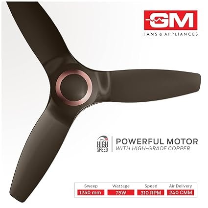 GM Embassy Ceiling Fan